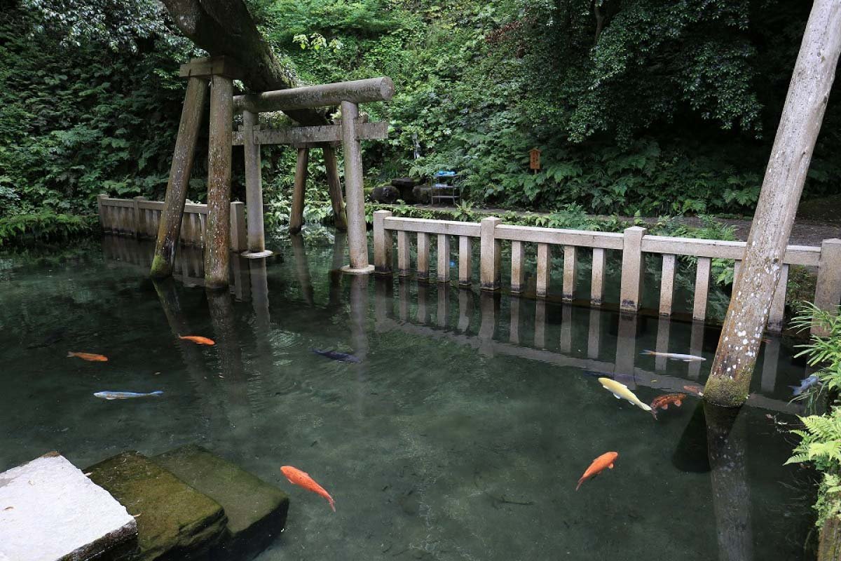 ⛩️ 가시마 신궁 이미지 4